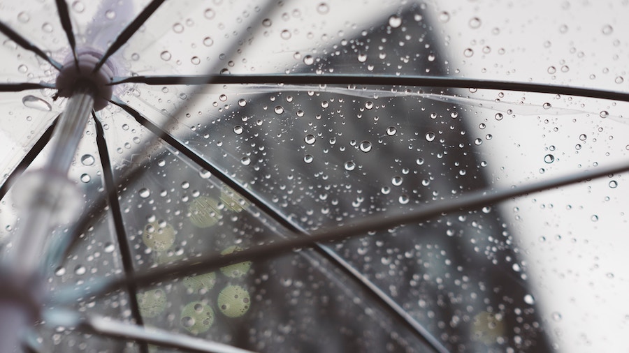 regen droogtemonitor waterschappen