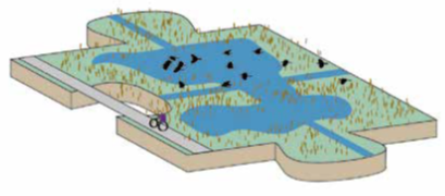 Achteroeversafb3overstromingsgrasland