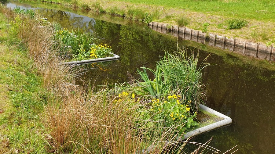 Ecologische vlotten Veenendaal