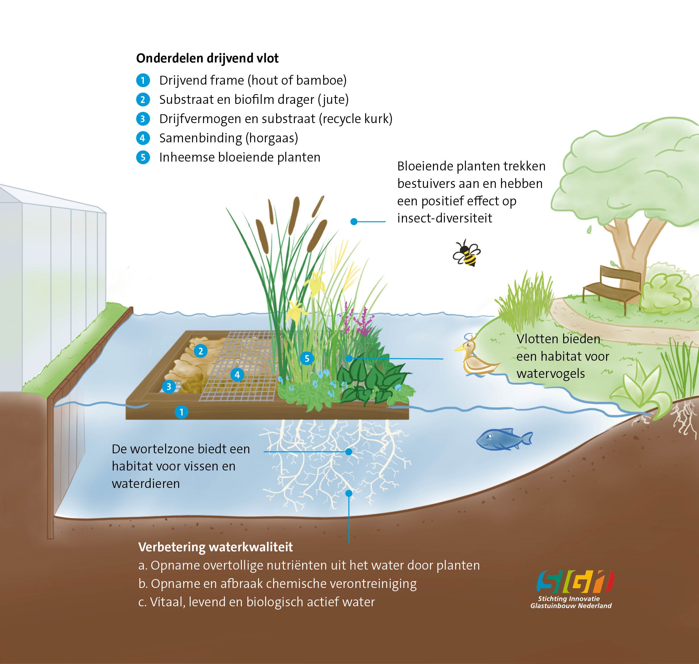 Infograhic ecologische vlot biodiversiteit en water