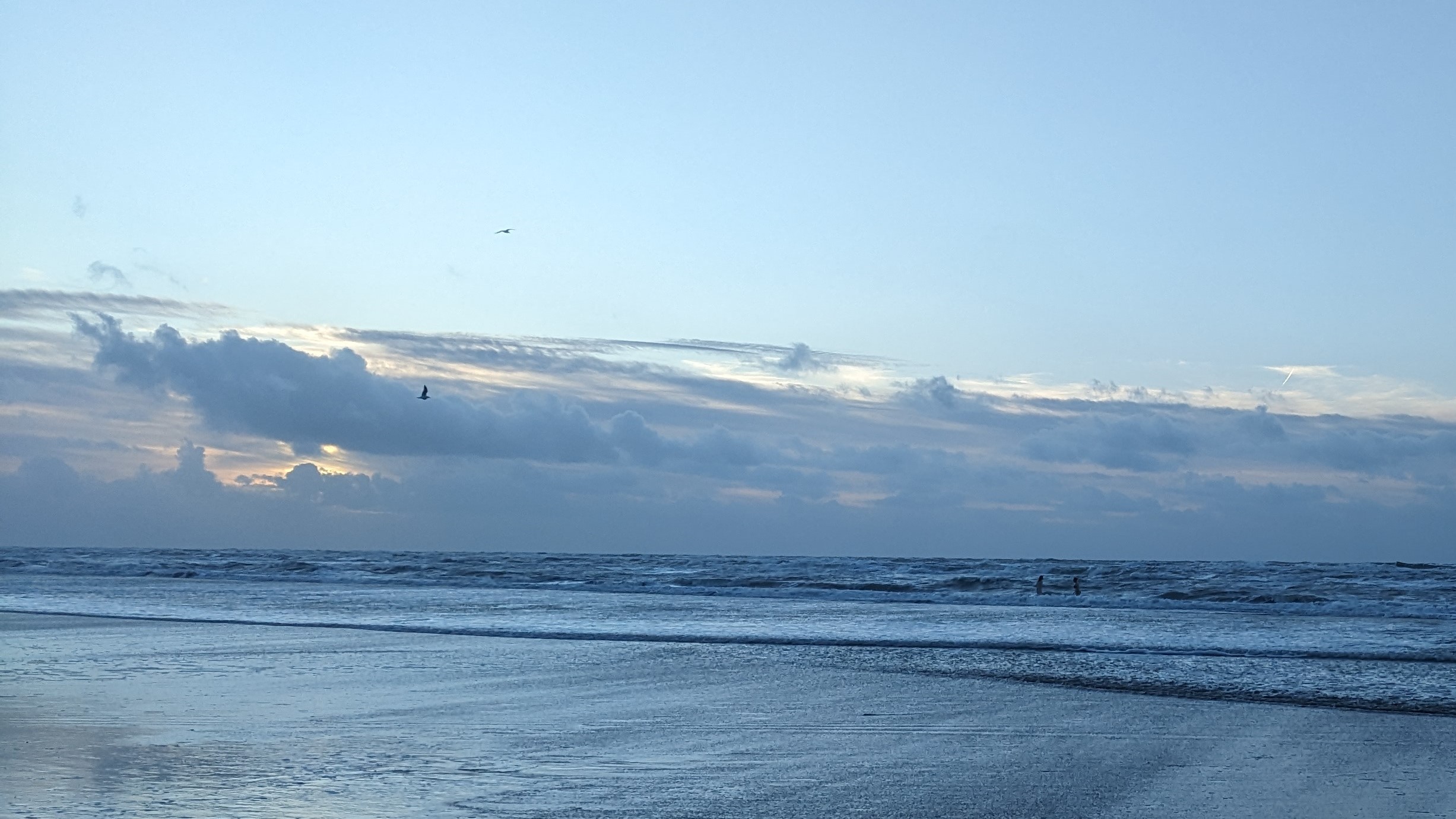 Milieuorganisaties pleiten voor betere bescherming Noordzee