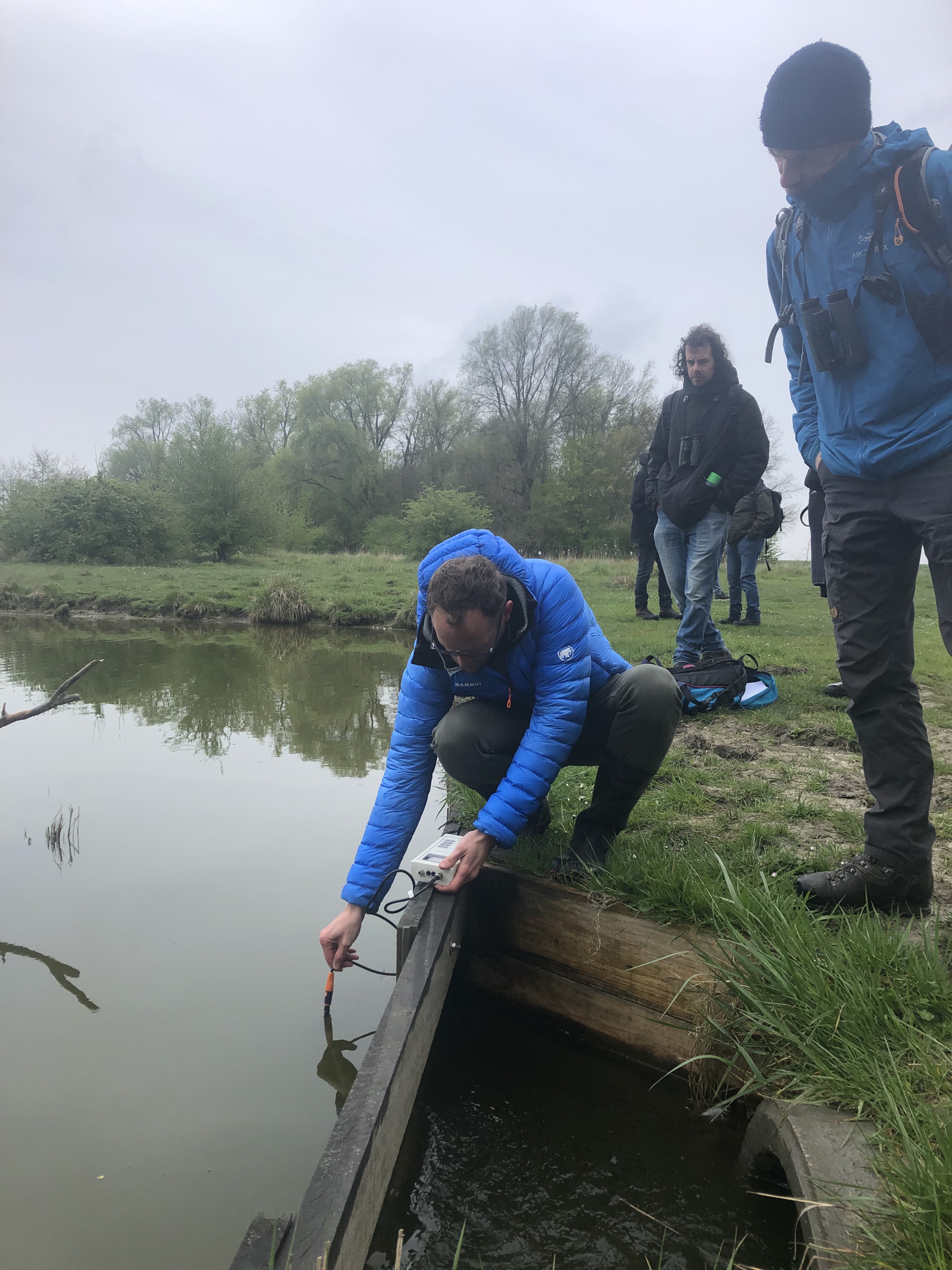 afb 3 EC metingen fieldlab Dijkwater