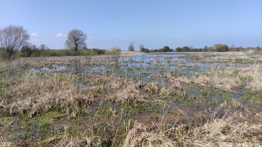 Nationaal natuurherstelplan