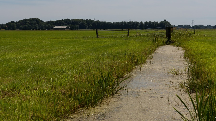 Onderhoud sloten en waterkwaliteit