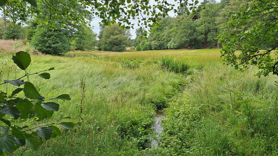 Natuurherstelwet van kracht