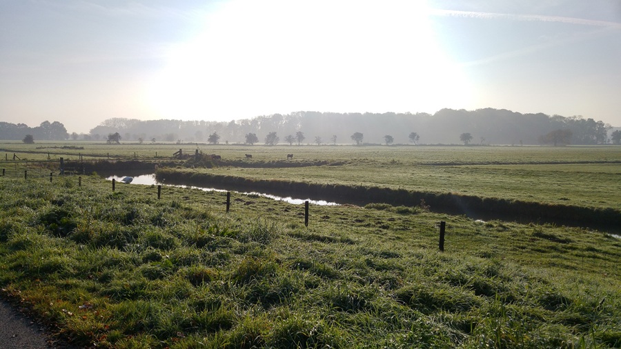 PFAS in grondwater Utrecht