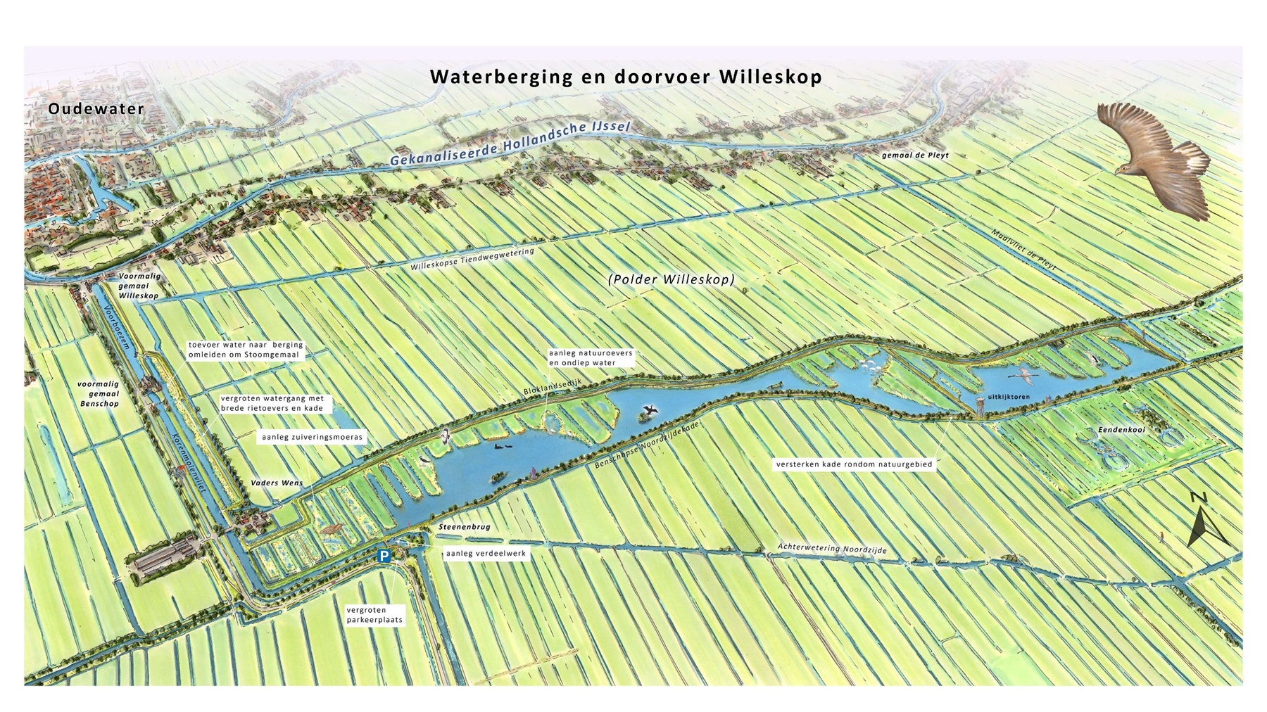 Visualisatie Waterberging en doorvoer Willeskop