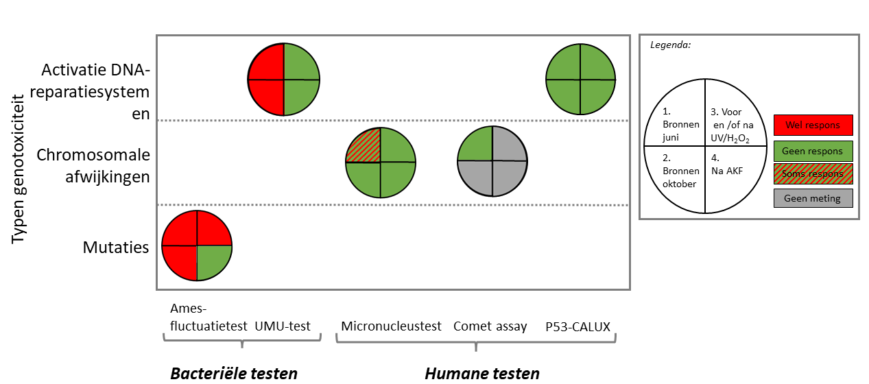 Afbeelding 3 H2O artikel Reus Genotoxiciteit