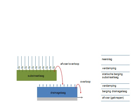 Groenblauwdakafb1