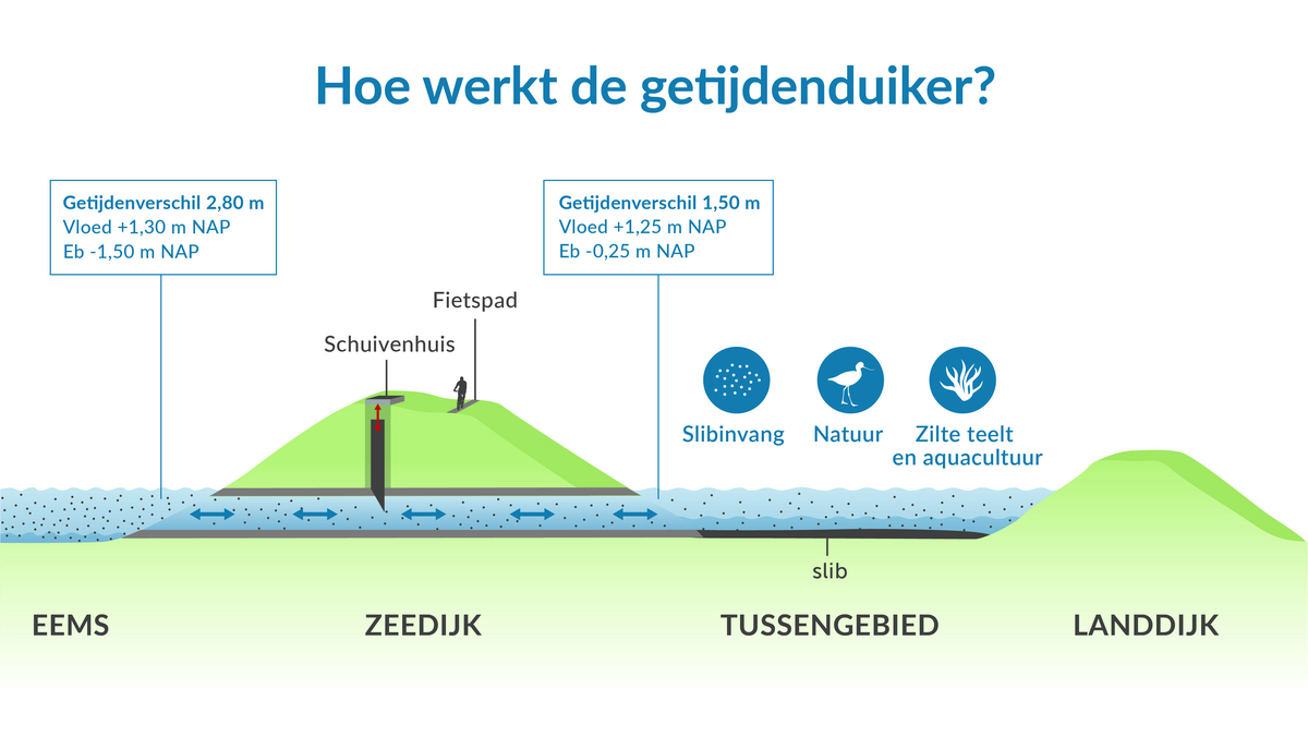 Werking Dubbele dijk met getijdenduiker